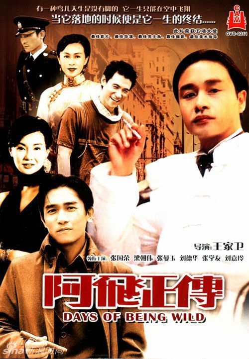 如何查询个人学历证书编号